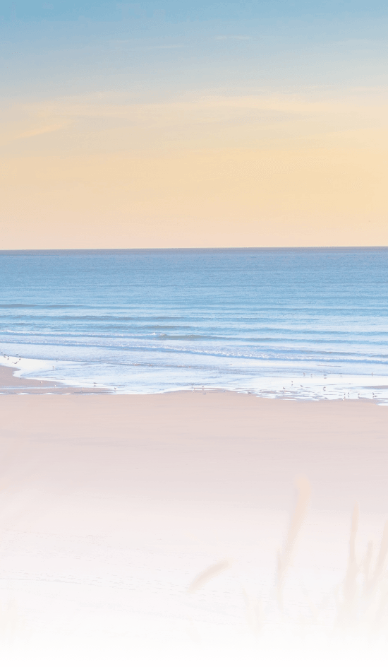 Découvertes & inspirations