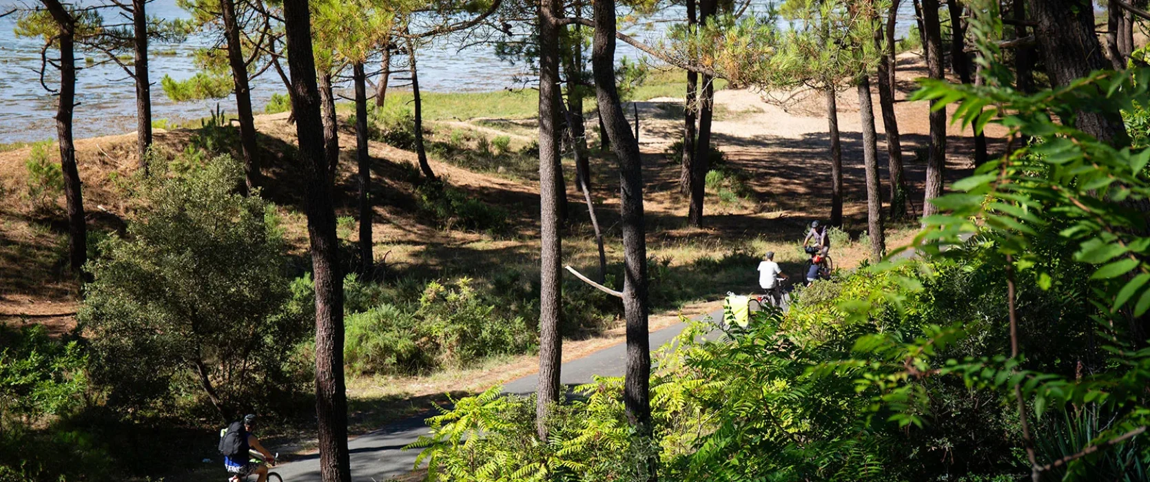 randos-royan-atlantique