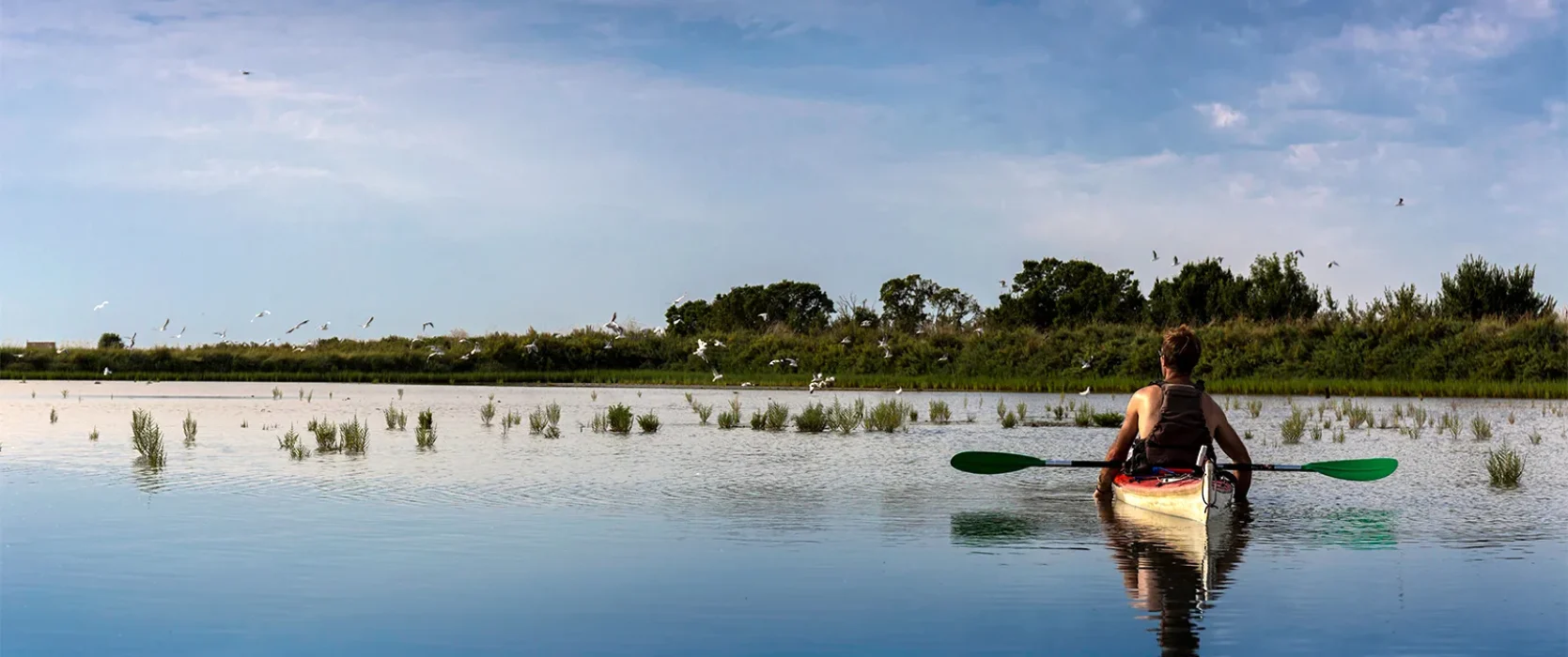 activites-royan-atlantique