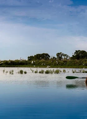 activites-royan-atlantique