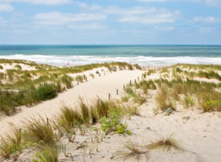 Patrimoine naturel et paysager d'exception