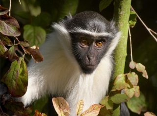 Une journée au zoo de la Palmyre