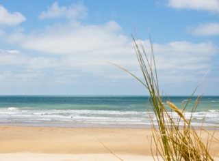 Nager au large de la côte sauvage
