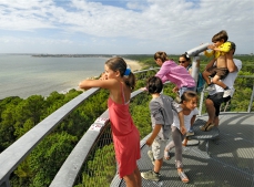 Activités et découvertes